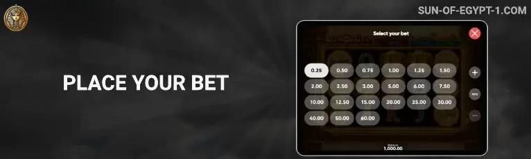 Step 3 - Place a bet