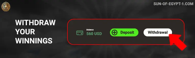 Step 5 - Withdraw your winnings